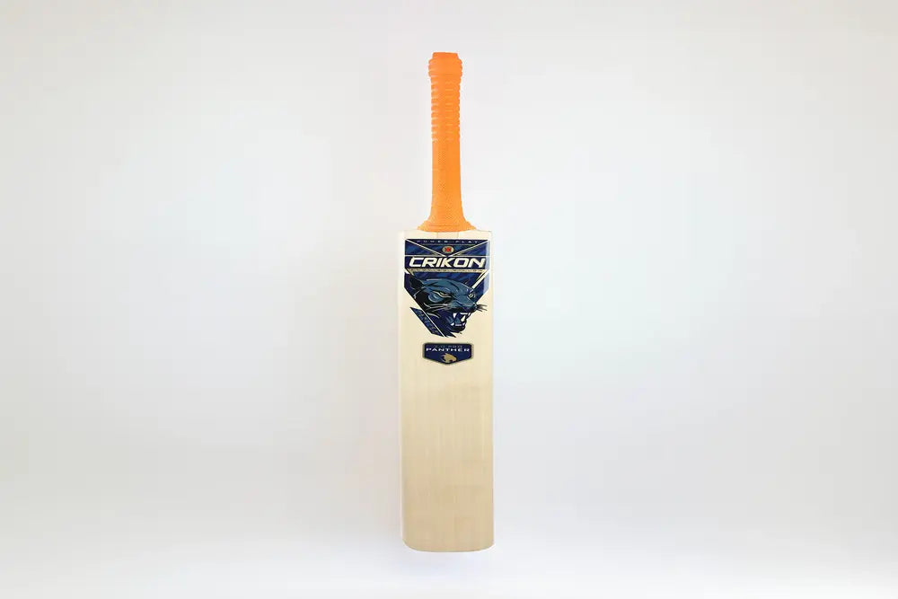 Buying a Cricket Bat