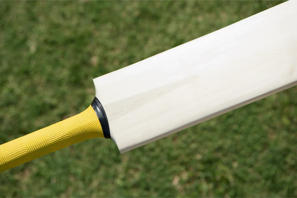 Customized Cricket Bats in Australia